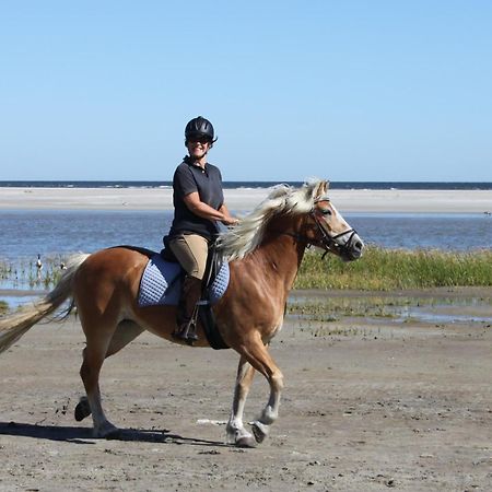 Naar Zee Op Ameland ブーレン エクステリア 写真