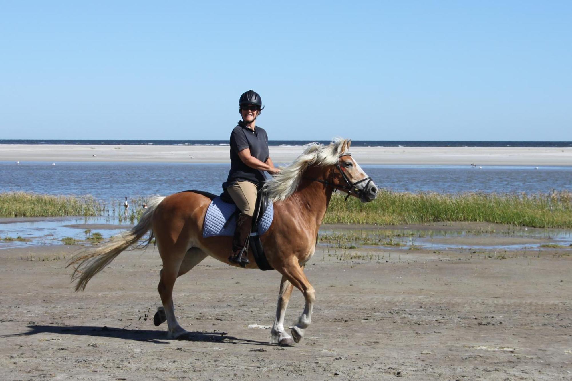 Naar Zee Op Ameland ブーレン エクステリア 写真